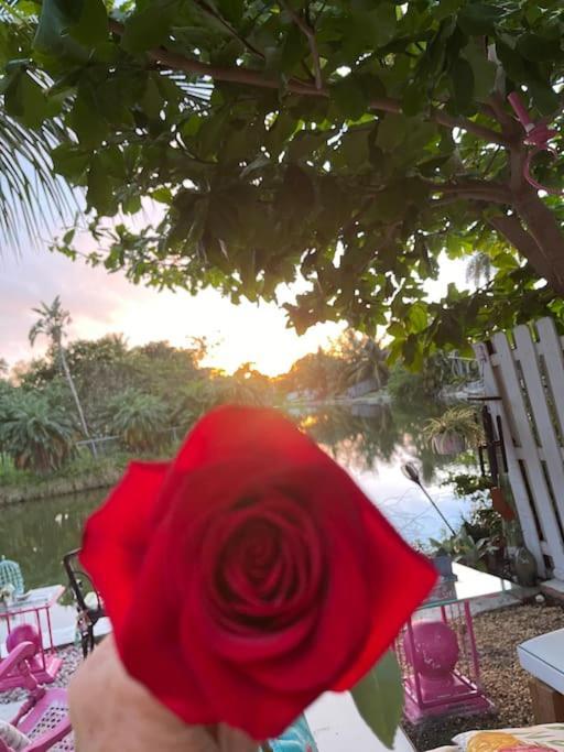 Kasa Karma On Water King Pool Paradise,Best Beaches,Restaurants, Gulfstream,Hard Rock Casino Hallandale Beach Bagian luar foto